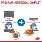 ROYAL CANIN Light Weight Care droogvoer voor volwassen katten ter ondersteuning van het gewichtsbeheer, 1,5 kg