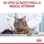 ROYAL CANIN Appetite Control Care Adult Dry Cat Food for Appetite Control, 3.5 kg