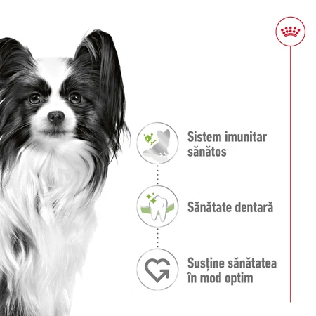 ROYAL CANIN X-Small Adult, droogvoer voor honden, 1,5 kg