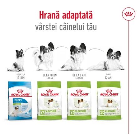 ROYAL CANIN X-Small Adult, droogvoer voor honden, 1,5 kg