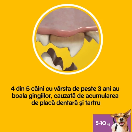 PEDIGREE DentaStix Daily Fresh, hondensnoepjes voor kleine rassen, staafjes, groene thee, 7 stuks