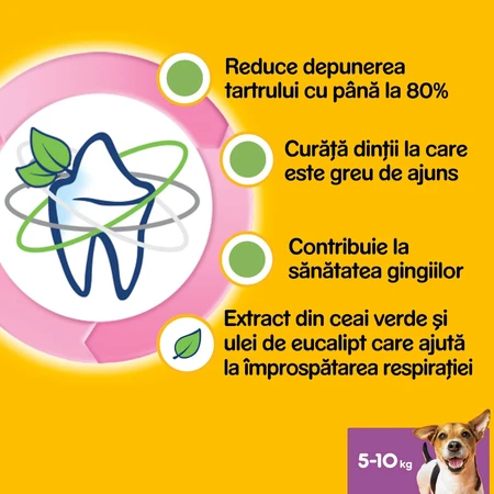 PEDIGREE DentaStix Daily Fresh, hondensnoepjes voor kleine rassen, staafjes, groene thee, 7 stuks