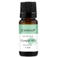 White camphor essential oil, 10 ml, Zanna