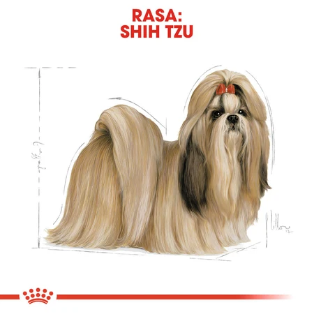 ROYAL CANIN Shih Tzu Adult, dry dog food, 1.5 kg