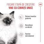 ROYAL CANIN Kitten, droogvoer voor jonge katten, 1,2 kg