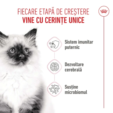 ROYAL CANIN Kitten, droogvoer voor jonge katten, 1,2 kg