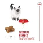 ROYAL CANIN Kitten, droogvoer voor jonge katten, 1,2 kg