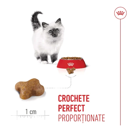 ROYAL CANIN Kitten, droogvoer voor jonge katten, 1,2 kg