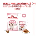 ROYAL CANIN Kitten, droogvoer voor jonge katten, 1,2 kg