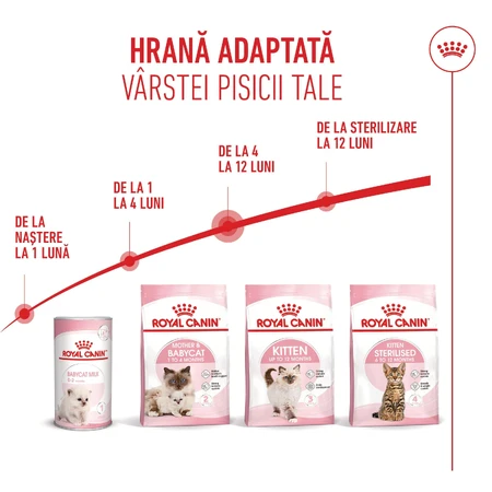 ROYAL CANIN Kitten, droogvoer voor jonge katten, 1,2 kg