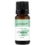Tijm etherische olie, 10 ml, Zanna