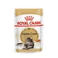 ROYAL CANIN Maine Coon Adult, natvoer voor katten (in saus), 85 g