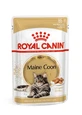 ROYAL CANIN Maine Coon Adult, natvoer voor katten (in saus), 85 g