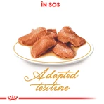 ROYAL CANIN Maine Coon Adult, natvoer voor katten (in saus), 85 g