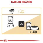 ROYAL CANIN Maine Coon Adult, natvoer voor katten (in saus), 85 g