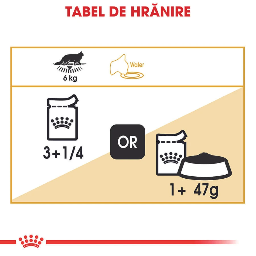 ROYAL CANIN Maine Coon Adult, natvoer voor katten (in saus), 85 g