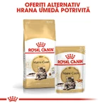 ROYAL CANIN Maine Coon Adult, natvoer voor katten (in saus), 85 g