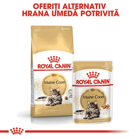 ROYAL CANIN Maine Coon Adult, natvoer voor katten (in saus), 85 g