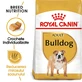 ROYAL CANIN Bulldog Adult, croquettes pour chien adulte, 3 kg