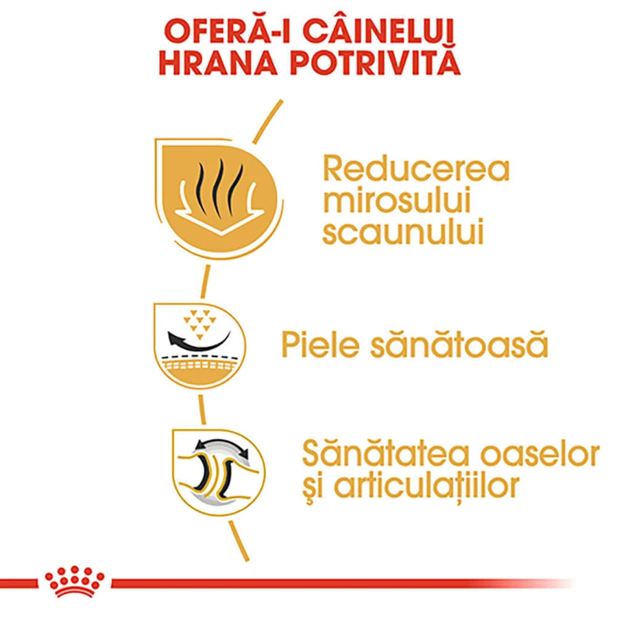 ROYAL CANIN Bulldog Adult, croquettes pour chien adulte, 3 kg