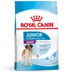 ROYAL CANIN Giant Junior, dry food for junior dogs, Stage 2 of growth, 3.5 kg