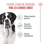 ROYAL CANIN Giant Junior, dry food for junior dogs, Stage 2 of growth, 3.5 kg