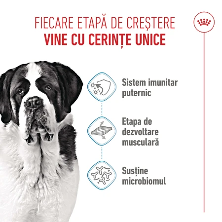 ROYAL CANIN Giant Junior, dry food for junior dogs, Stage 2 of growth, 3.5 kg