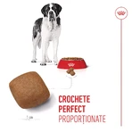 ROYAL CANIN Giant Junior, dry food for junior dogs, Stage 2 of growth, 3.5 kg