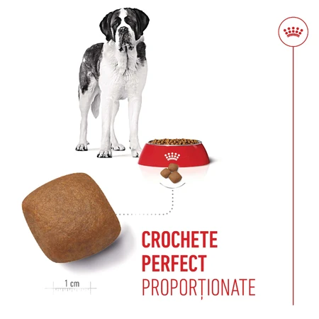 ROYAL CANIN Giant Junior, dry food for junior dogs, Stage 2 of growth, 3.5 kg