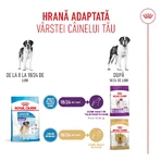ROYAL CANIN Giant Junior, dry food for junior dogs, Stage 2 of growth, 3.5 kg