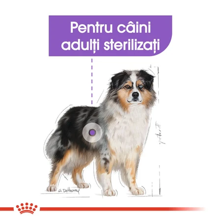 ROYAL CANIN Medium Sterilised Adult, dry food for spayed or neutered dogs, 3 kg