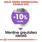 ROYAL CANIN Medium Sterilised Adult, dry food for spayed or neutered dogs, 3 kg