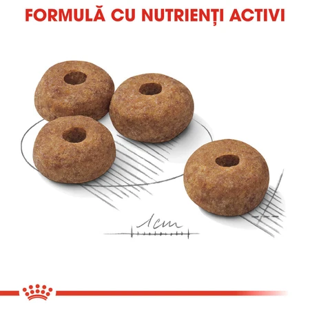 ROYAL CANIN Medium Sterilised Adult, dry food for spayed or neutered dogs, 3 kg