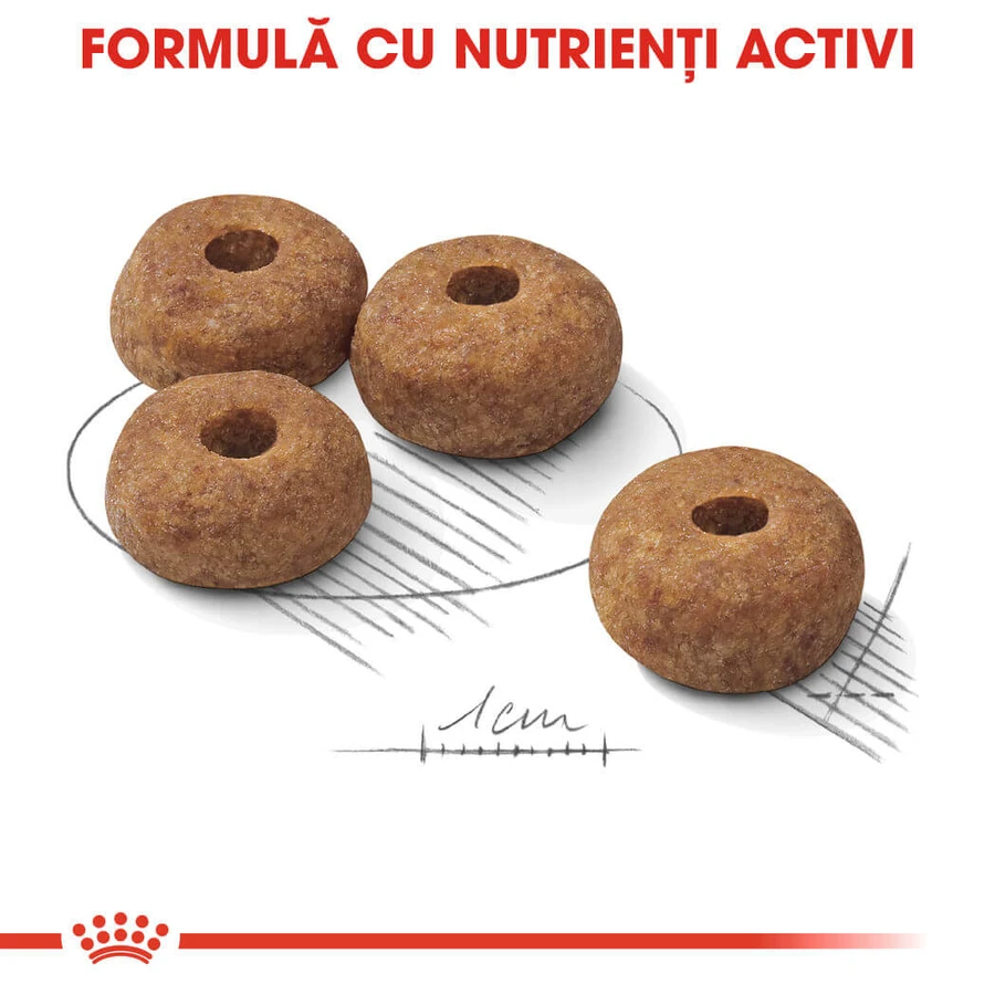 ROYAL CANIN Medium Sterilised Adult, dry food for spayed or neutered dogs, 3 kg