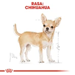 ROYAL CANIN Chihuahua Adult, croquettes pour chien, 1,5 kg