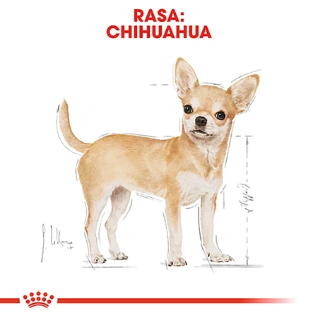 ROYAL CANIN Chihuahua Adult, croquettes pour chien, 1,5 kg