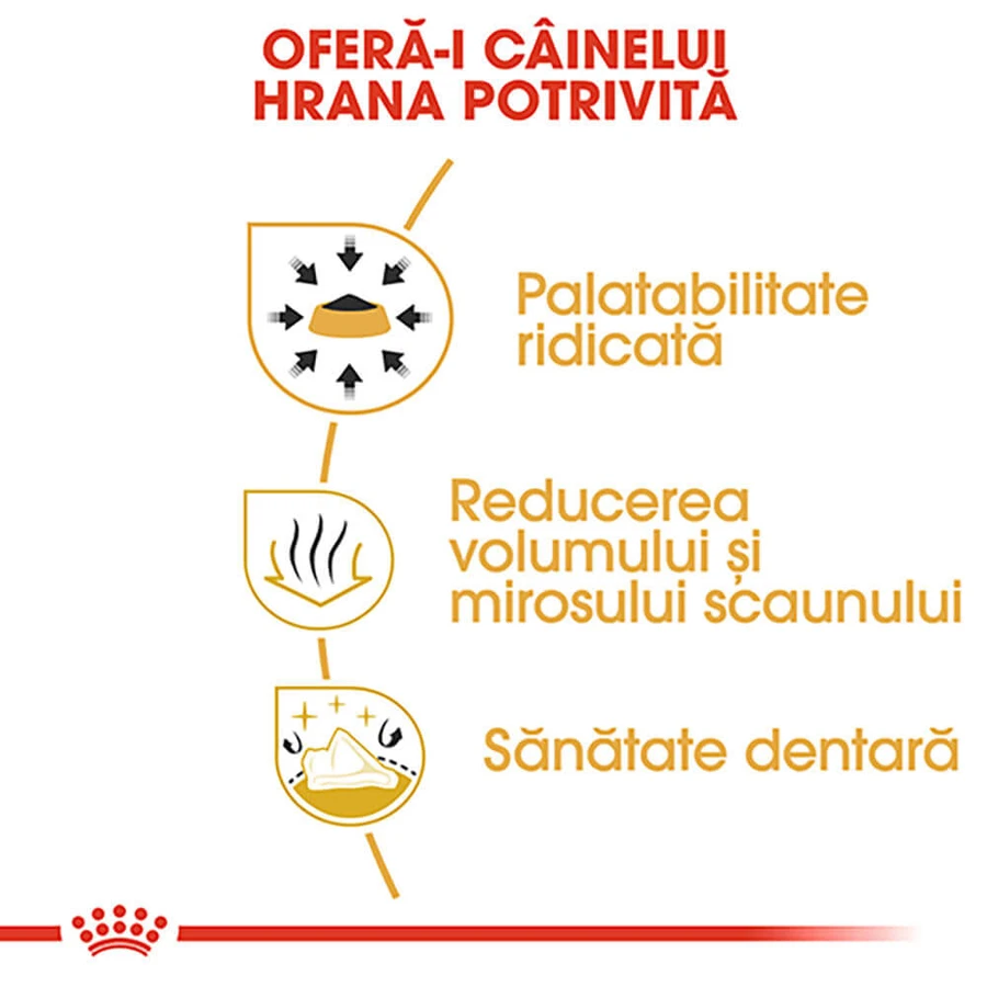 ROYAL CANIN Chihuahua Adult, croquettes pour chien, 1,5 kg