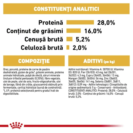 ROYAL CANIN Chihuahua Adult, croquettes pour chien, 1,5 kg