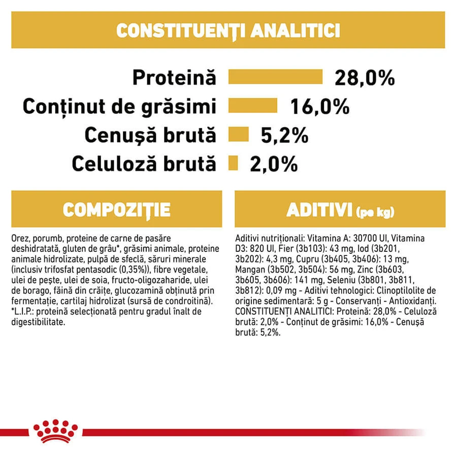 ROYAL CANIN Chihuahua Adult, croquettes pour chien, 1,5 kg