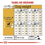 ROYAL CANIN Chihuahua Adult, croquettes pour chien, 1,5 kg