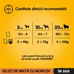 PEDIGREE Chiens de races mixtes, XS-XL, bœuf et dinde, sachets d'aliments humides pour chiens (en sauce), lot de 4, 100 g x 4