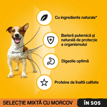 PEDIGREE Chiens de races mixtes, XS-XL, bœuf et dinde, sachets d'aliments humides pour chiens (en sauce), lot de 4, 100 g x 4