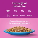 WHISKAS Selections, Fisch, Nassfutter für Katzen in Beuteln (in Gelee), Multipack, 85 g x 12