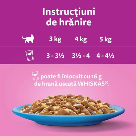 WHISKAS Selections, Fisch, Nassfutter für Katzen in Beuteln (in Gelee), Multipack, 85 g x 12