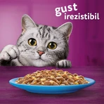 WHISKAS Selections, Fisch, Nassfutter für Katzen in Beuteln (in Gelee), Multipack, 85 g x 12
