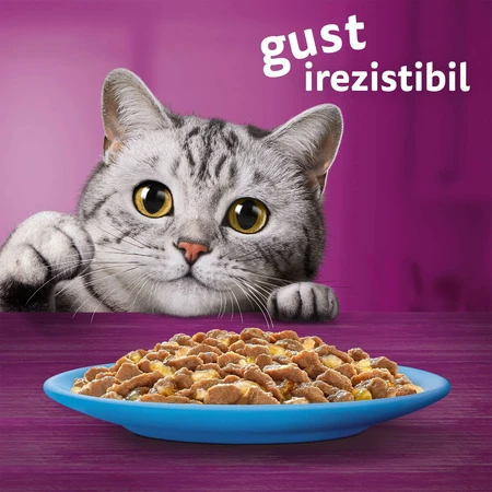 WHISKAS Selections, Fisch, Nassfutter für Katzen in Beuteln (in Gelee), Multipack, 85 g x 12