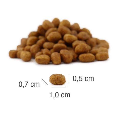PLATINUM MeatCrisp Sterilisiert, Fisch, Trockenfutter für kastrierte Katzen, dehydriert, 3 kg