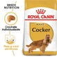 ROYAL CANIN Cocker Adult, dry dog food, 3 kg