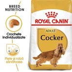 ROYAL CANIN Cocker Adult, Trockenfutter für Hunde, 3 kg