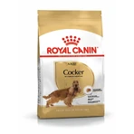 ROYAL CANIN Cocker Adult, Trockenfutter für Hunde, 3 kg